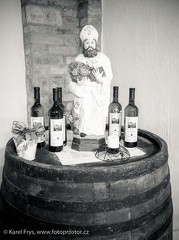 Vinařství Vína z Mlýna, Dolany - MKV 2013